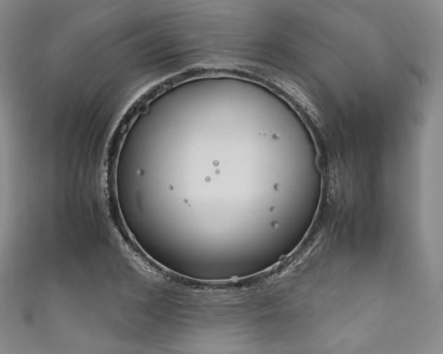 X0000111840976200907231404