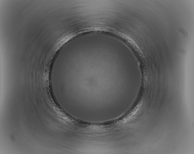 X0000111840977200907231404