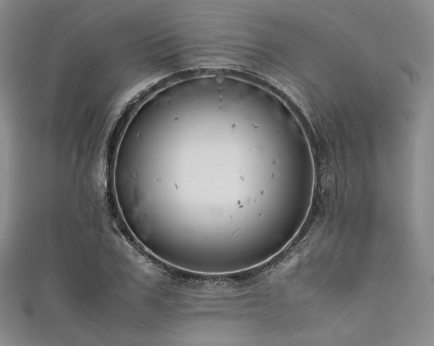 X0000111840979200907231404