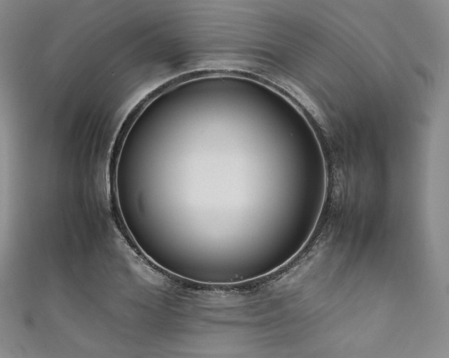 X0000111840980200907231404