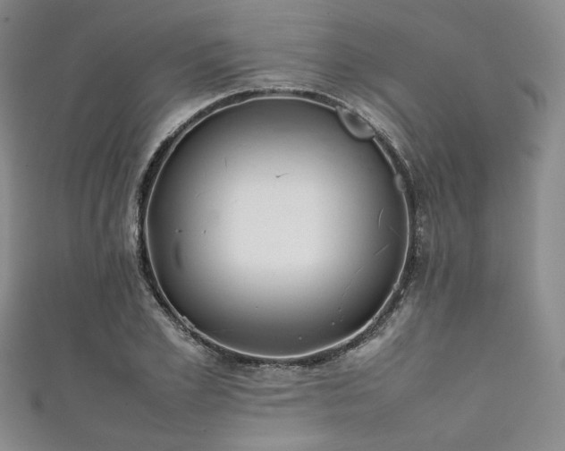 X0000111840981200907231404