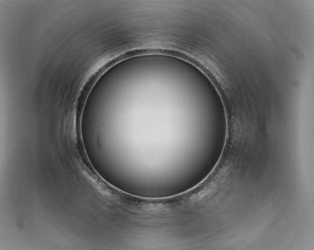 X0000111840982200907231404