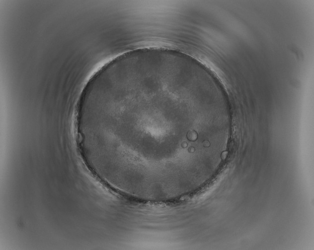 X0000111840983200907231404