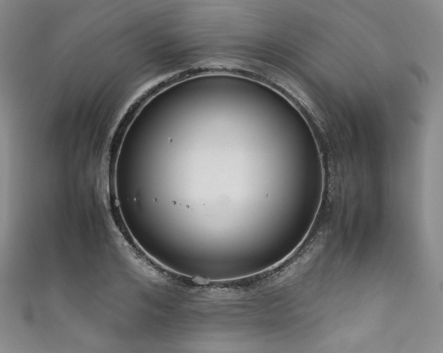 X0000111840984200907231404