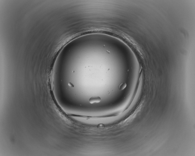 X0000111840985200907231404