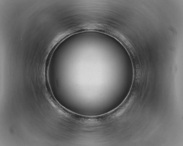 X0000111840986200907231404