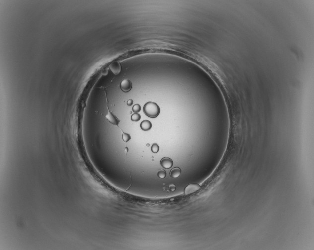 X0000111840987200907231404