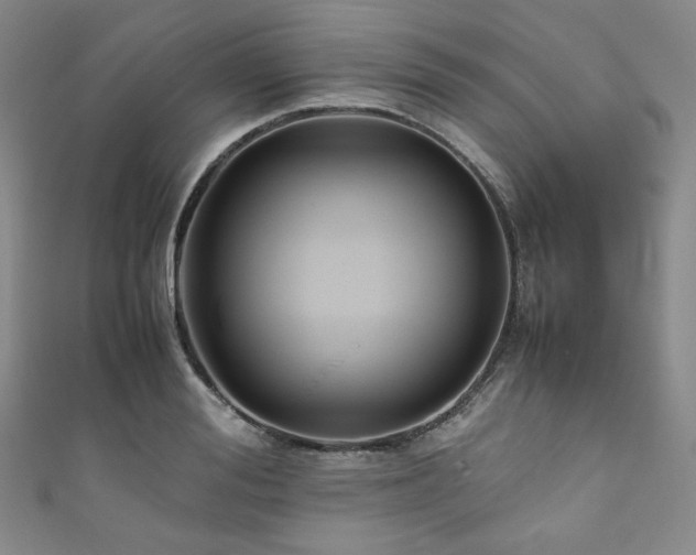 X0000111840988200907231404