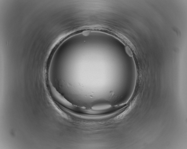 X0000111840989200907231404