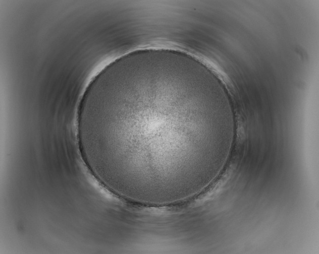 X0000111840990200907231404