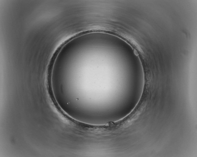 X0000111840991200907231404