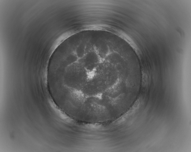 X0000111840994200907231404