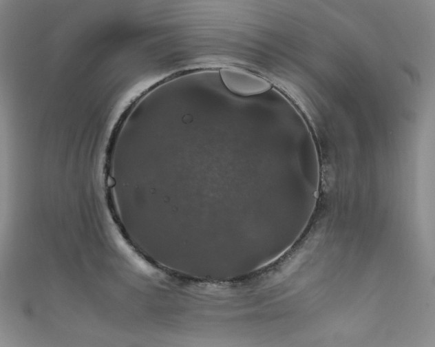 X0000111840995200907231404