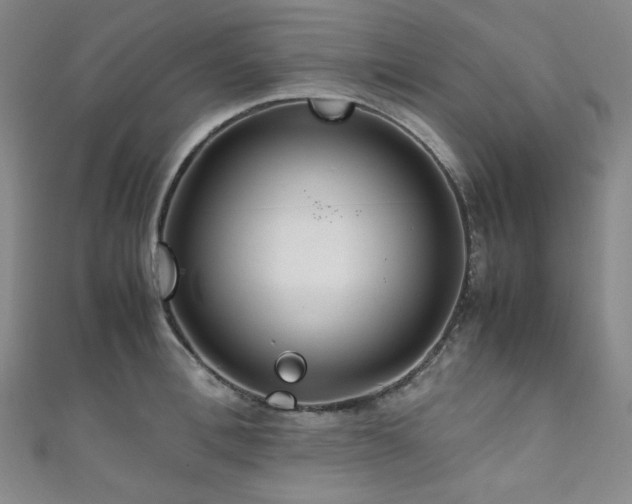 X0000111840996200907231404