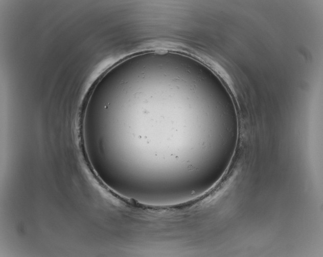 X0000111840997200907231404