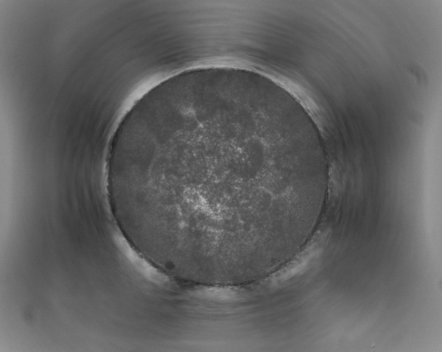 X0000111840998200907231404