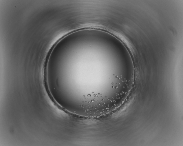 X0000111840999200907231404