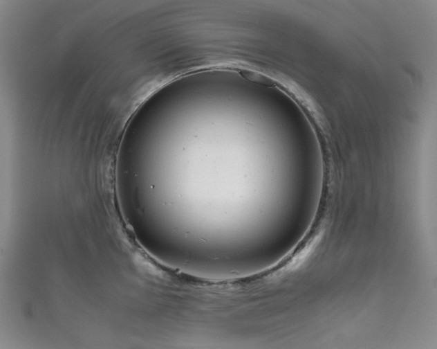 X0000111841001200907231404