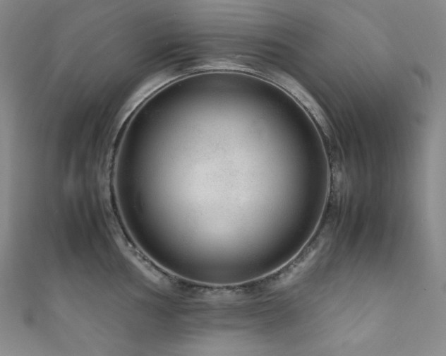 X0000111841002200907231404