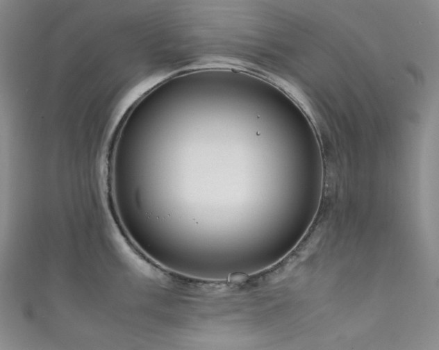 X0000111841003200907231404