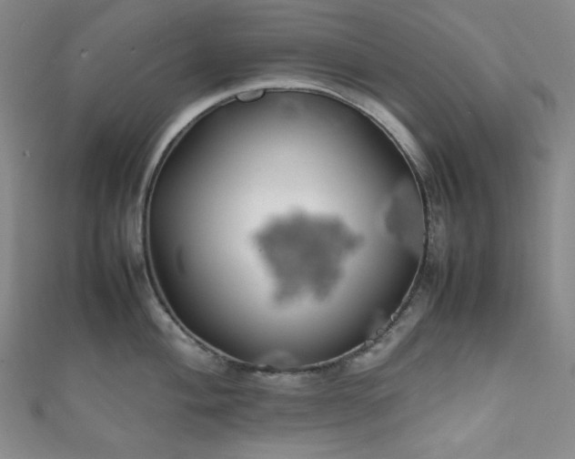 X0000111841004200907231404