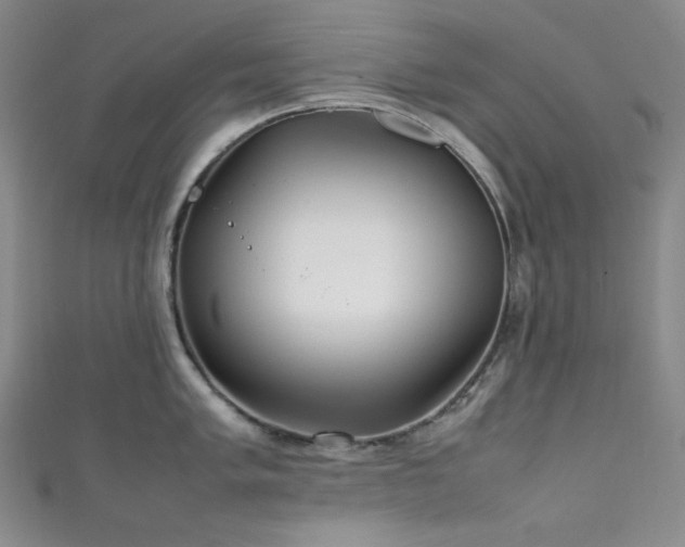 X0000111841005200907231404