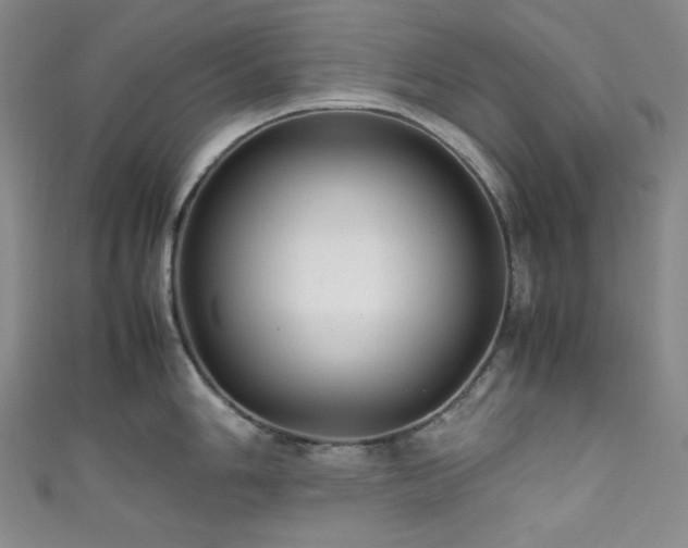 X0000111841006200907231404