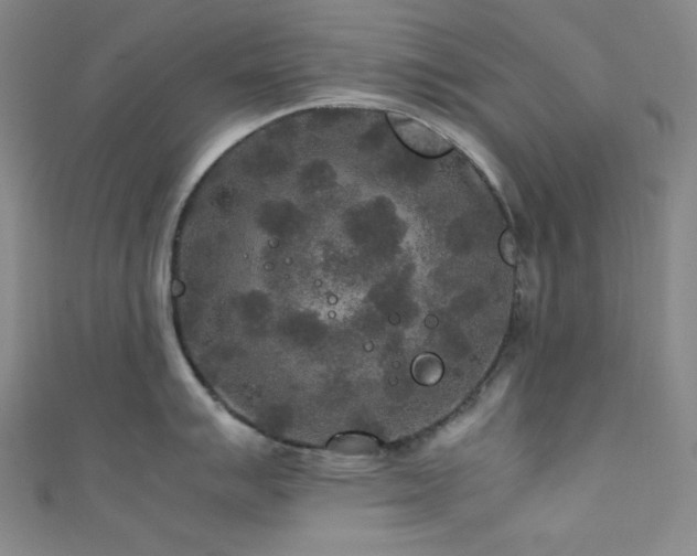 X0000111841007200907231404