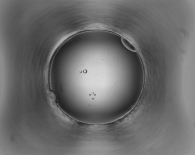 X0000111841008200907231404