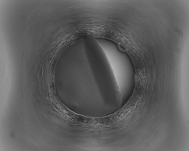X0000111841009200907231403