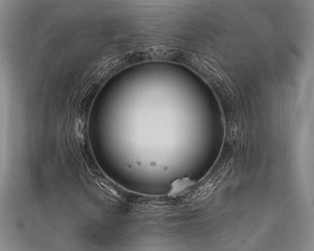 X0000111841010200907231403