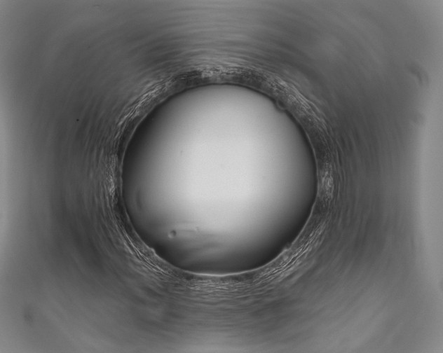 X0000111841012200907231403