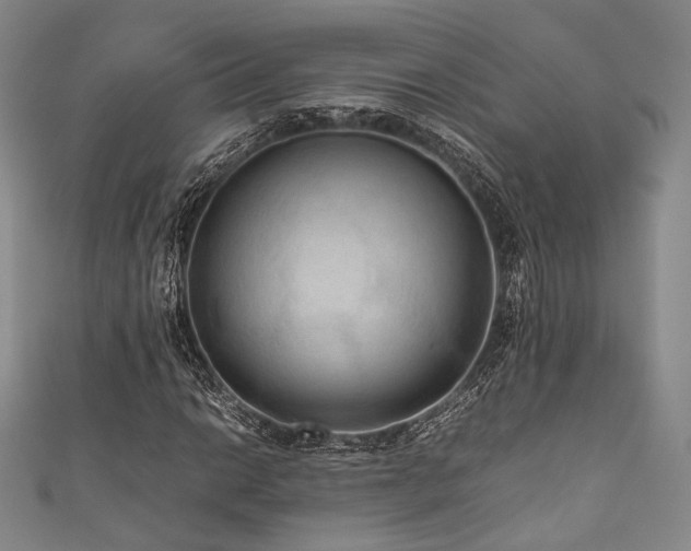 X0000111841014200907231403