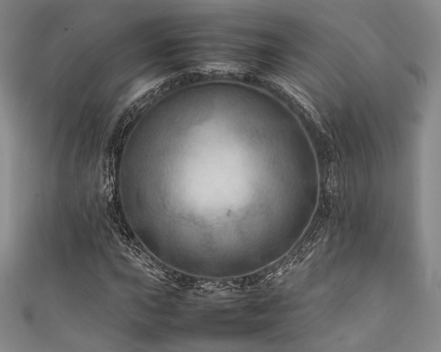 X0000111841015200907231403