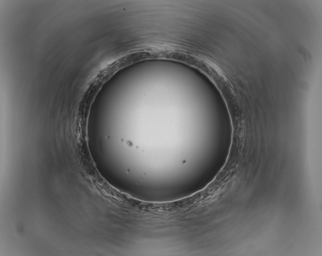 X0000111841016200907231403