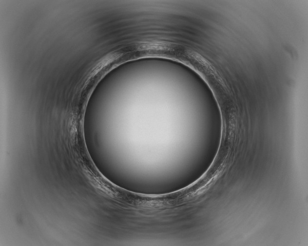 X0000111841017200907231403