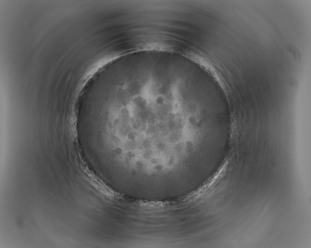 X0000111841019200907231403