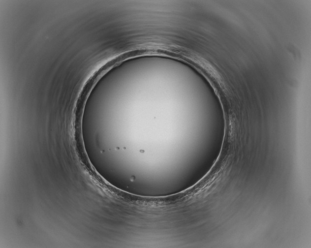 X0000111841020200907231403