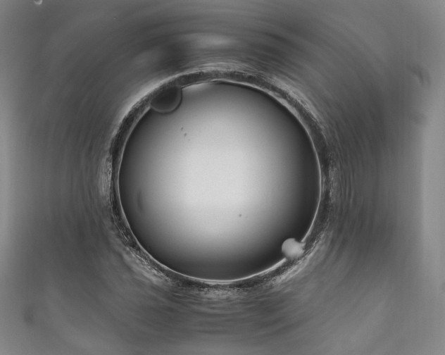 X0000111841021200907231403