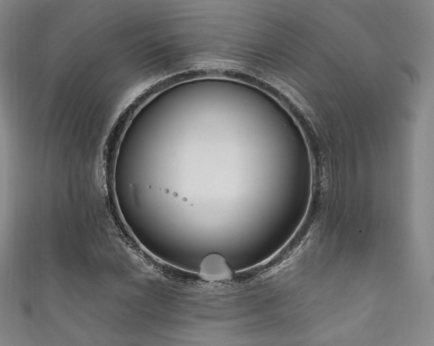 X0000111841022200907231403