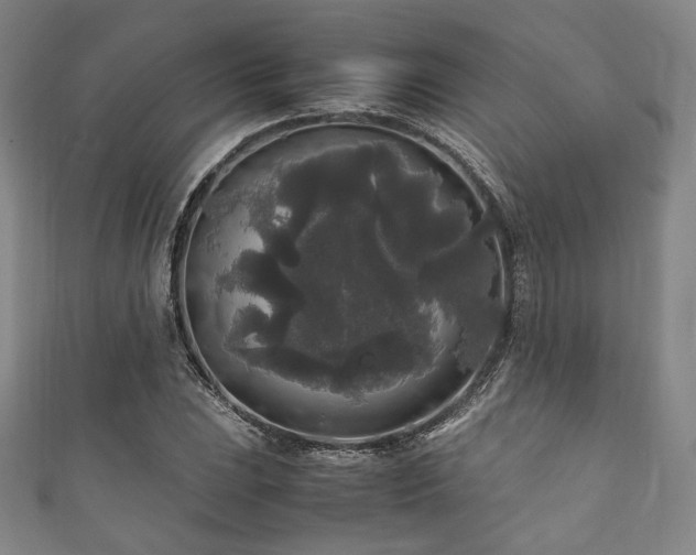 X0000111841023200907231404