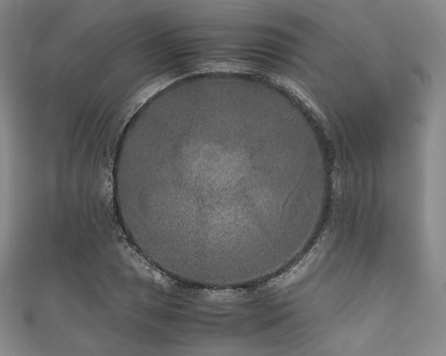 X0000111841025200907231404