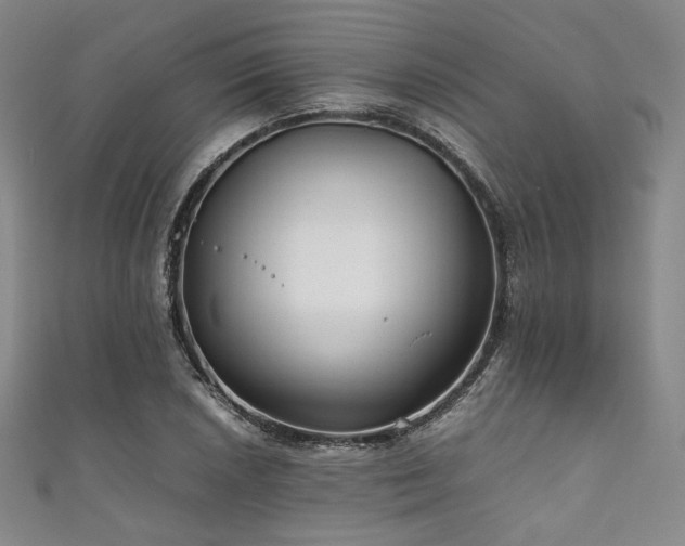 X0000111841026200907231404