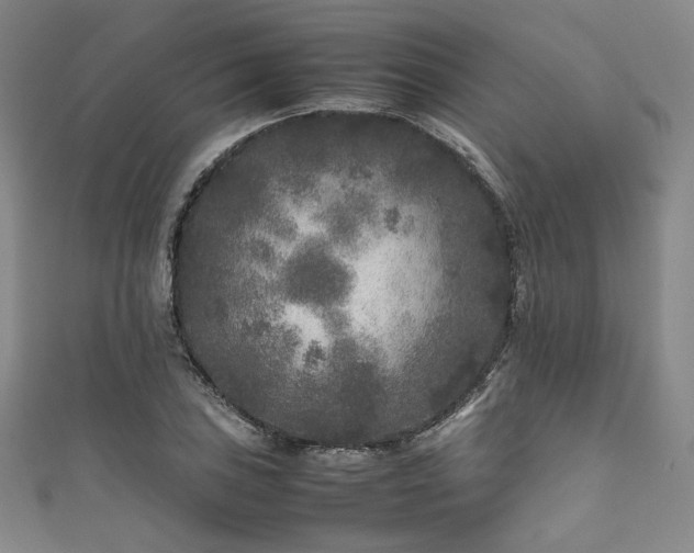 X0000111841027200907231404