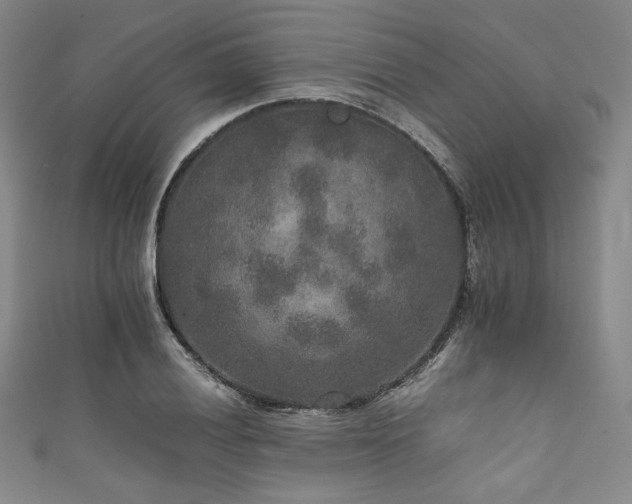 X0000111841028200907231404