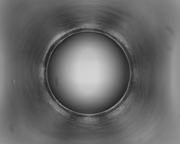 X0000111841029200907231404