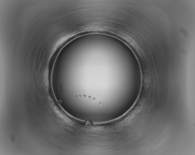 X0000111841030200907231404