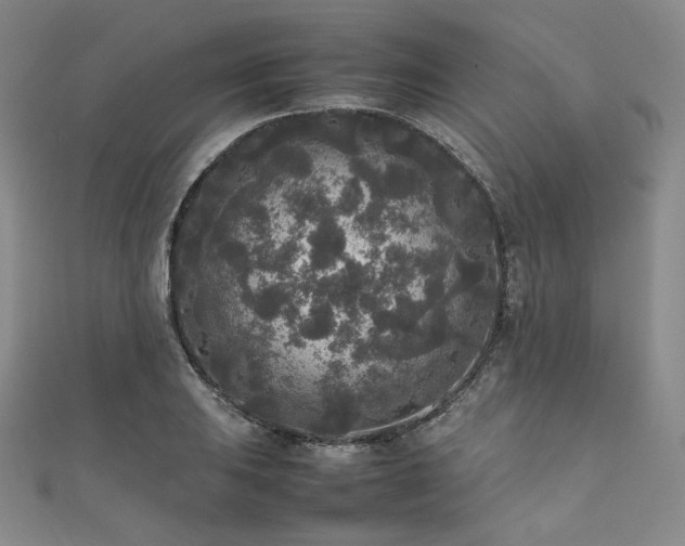 X0000111841031200907231404