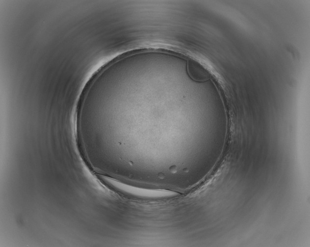 X0000111841032200907231404