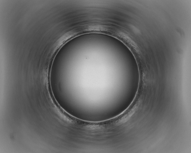 X0000111841033200907231404